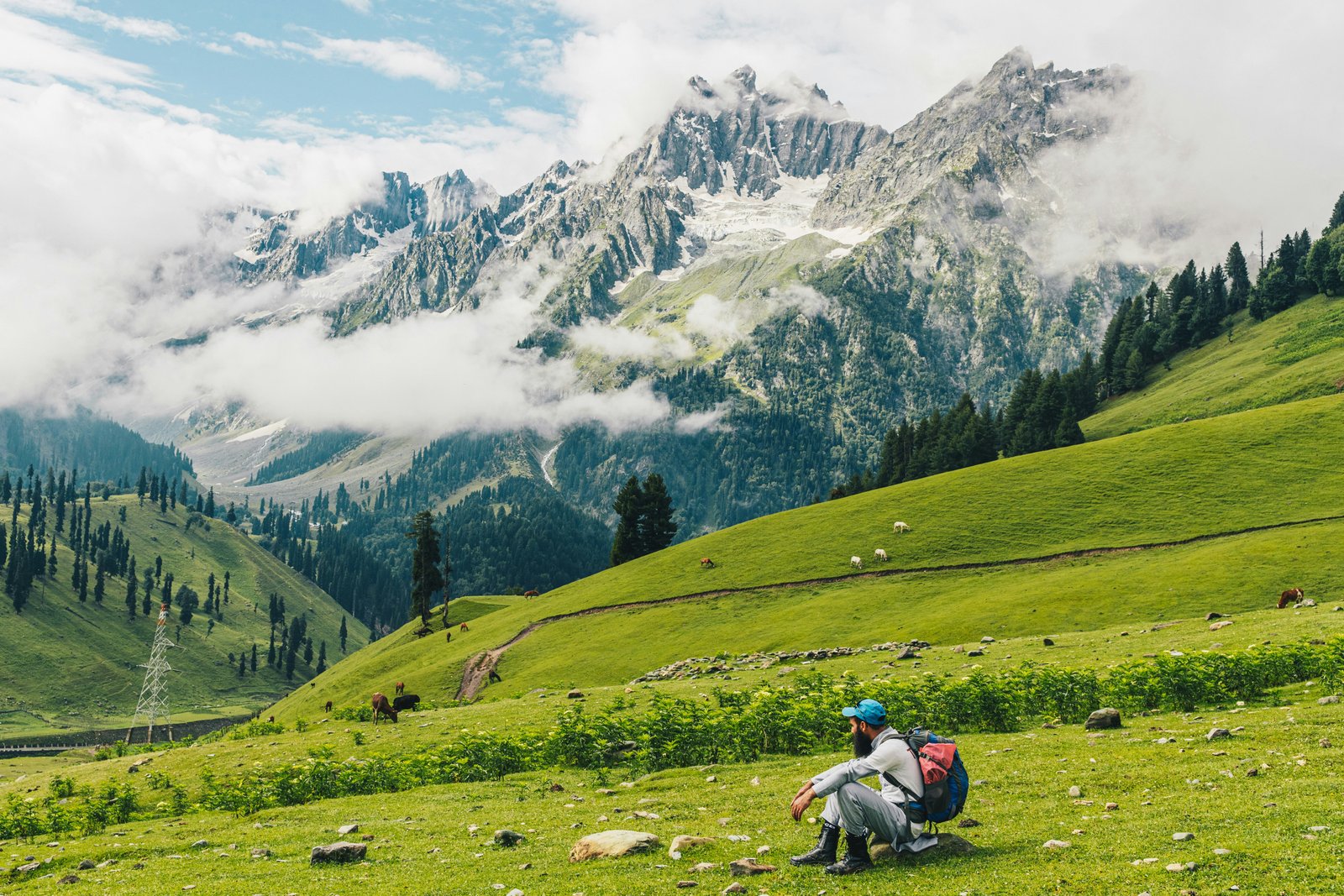 Kashmir Landscape